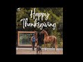 Happy Thanksgiving Day Dressage Livestream