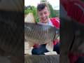 Kaputte Hände aber der Bissanzeiger piept trotzdem! 😱🎣 #carp #angeln #fishing