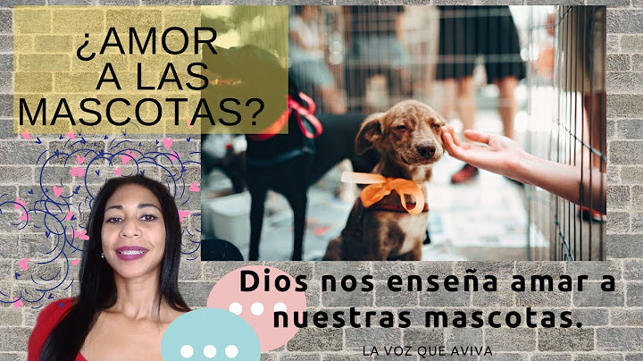 Mate, a mi mascota por accidente