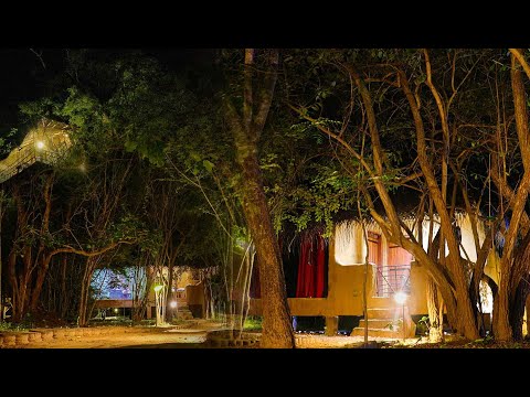 Baddegama Eco | Tree House And Clay House | The Beautiful Eco Resort In Sri Lanka |