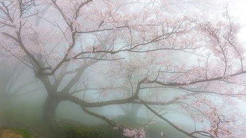 Rate the random edits from my camera roll [Part 9]