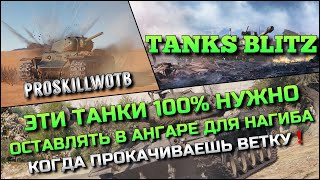 : Tanks Blitz   100%      ,   