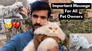 Important message for all pet/cat owners || Please don’t do this with Animals