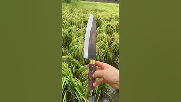 Tôi làm con dao phi lê cá bằng thép hòn bi máy bay sắc nét đáng kinh ngạc