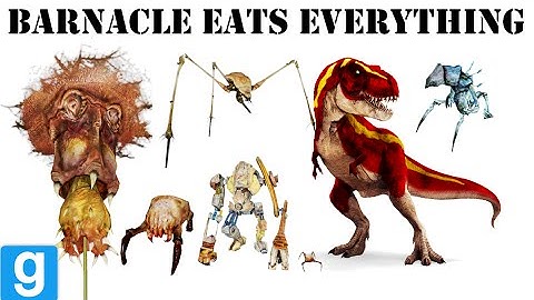 Gmod - Barnacle Eats Everything Compilation  Full HD ✔ (My Best Gmod comp video) #gmod #barnacle