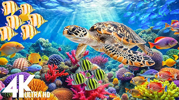 Amazing 4K Ocean Adventure 🐳 Dive Deep and Marvel at Sea Animal in The Best 4K ULTRA HD Aquarium #3