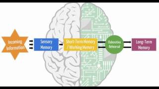 Information Processing Theory   Classroom Applications