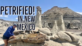 Uncovering the Mysteries of Bisti DeNaZin: A Wilderness Adventure in New Mexico