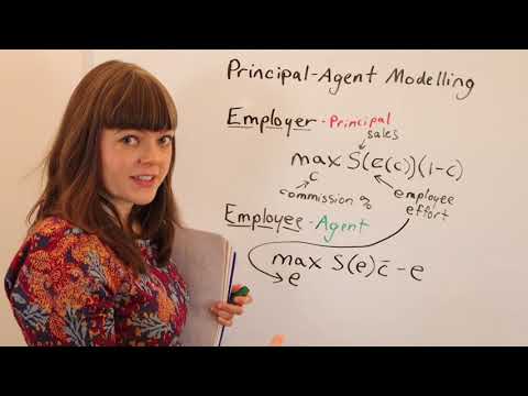 Principal-Agent Modelling