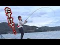 ショアジギで特大の青物が掛かり過去一テンパる