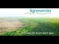 Lignaverda, greening the desert