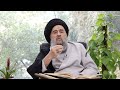 تسمية سورة النحل للمرجع الديني السيد محمد تقي المدرسي