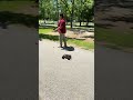 Big bear in the slingshot RCcars protinkertoys.com