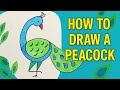 How to Draw a Beautiful Peacock from the Number 6 Step by Step Tutorial