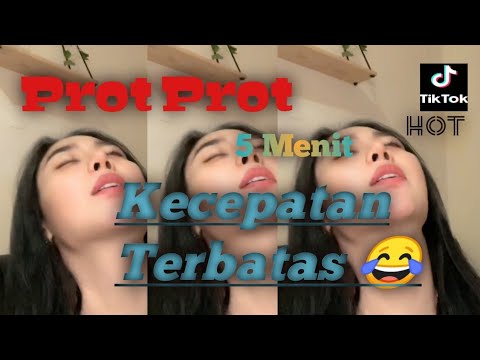 Goyang Prot Prot #goyangtiktok  #viral #tiktokhot