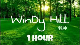 WINDY HILL  'NHẠC THU HÚT 'TIỀN ' THỊNH VƯỢNG GIÀU CÓ VÀ THÀNH CÔNG'