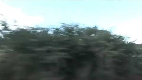 Bono and Ali by Annie Leibovitz for Louis Vuitton