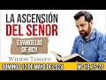 Evangelio de hoy DOMINGO 12 de MAYO (Mc 16,15-20) | Wilson Tamayo | Tres Mensajes