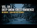 1 HOUR 20 MIN Deep Forest Snow Ambience | Dark Winter Silence for Sleep, Study & Focus ❄️🌑