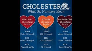 LDL /HDL Cholesterol