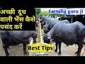 दुधारू भैंस की पहचान|dudharu bhains ki pahchan|How select heavy milker Buffalo|Dairy Farming