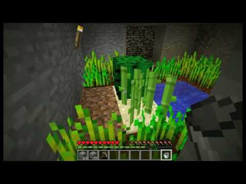 LP.minecrfat:survival in box: უვე გვეყო??/#3/