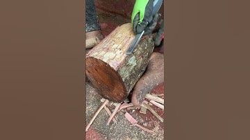 The Amazing Angle Grinder Technique for Removing Tree Bark