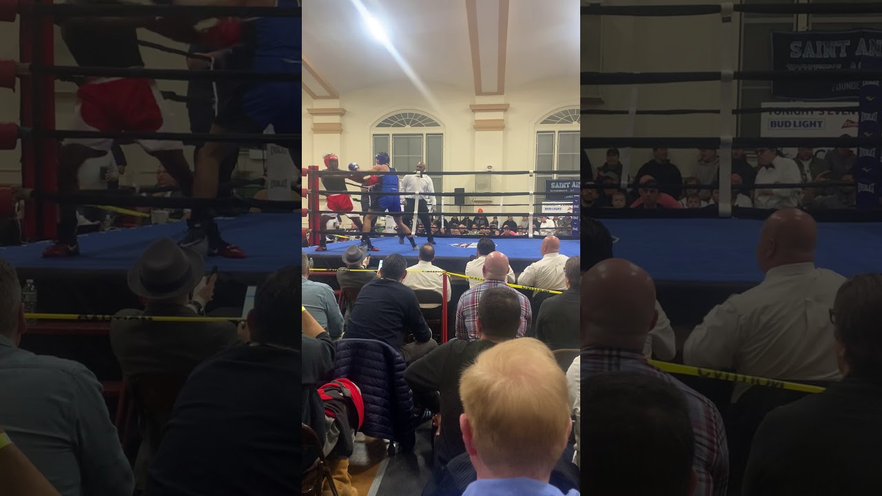 Referee gets knocked out YouTube