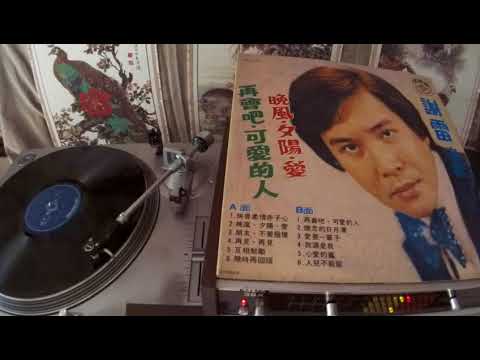 謝雷Xie Lei -- a1 俠骨柔情赤子心
