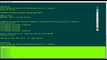Connect to Oracle Database Client Using Bash Shell Script