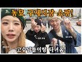 동묘 구제시장 브이로그! 진짜 개고수님이 알려주는 동묘 개꿀팁 공개! (feat.김무비/도베르만 대환장파티)