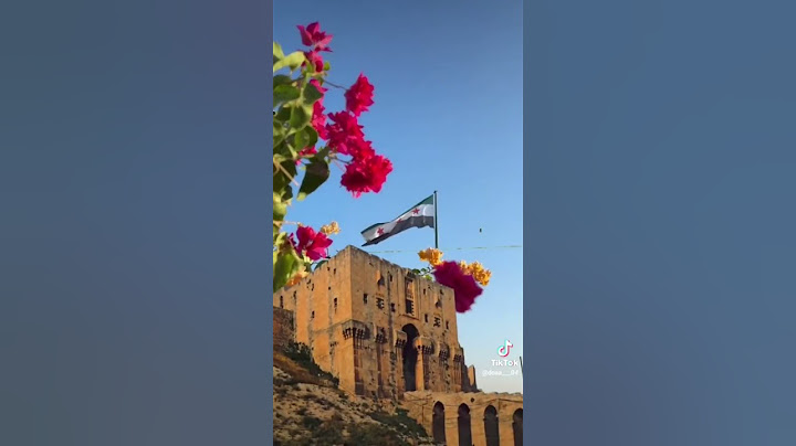 من اي بلد انتوا🧐🎀✨