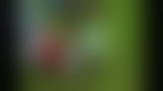 main bola patah kaki