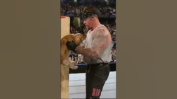 That time Undertaker met a Puppy on Smack Down #NationalDogDay #shorts #viral #smackdown #wwe
