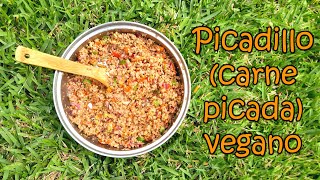 Picadillo (carne picada) vegano por Nely Helena Acosta Carrillo by RECETAS VEGANAS - SALUD A LA CARTA 1,534 views 1 month ago 10 minutes, 23 seconds