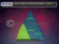 Radioactivity Quiz