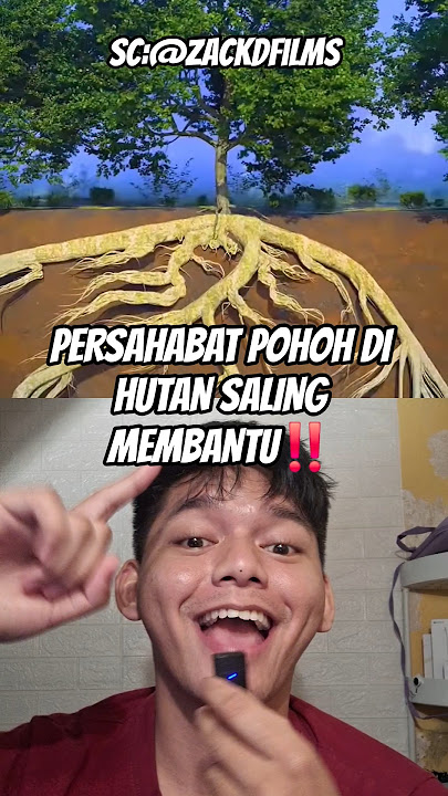 POHON INI BERSAHABAT DENGAN POHON LAIN‼️ #tree #ihavethisthingwithplants #facts