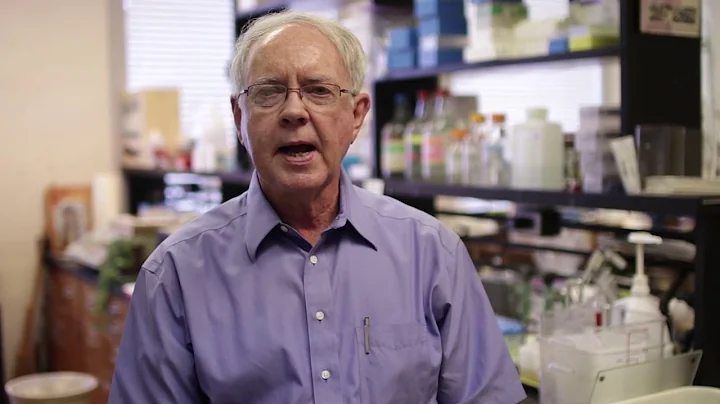 Dr Jerry Spears