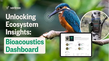 Listening to Nature: Tracking Ecosystem Health Through Birds