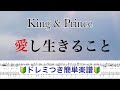 【ドレミつき】『愛し生きること』King &amp; Prince /簡単楽譜 / フルサイズ / 14thシングル / covered by lento