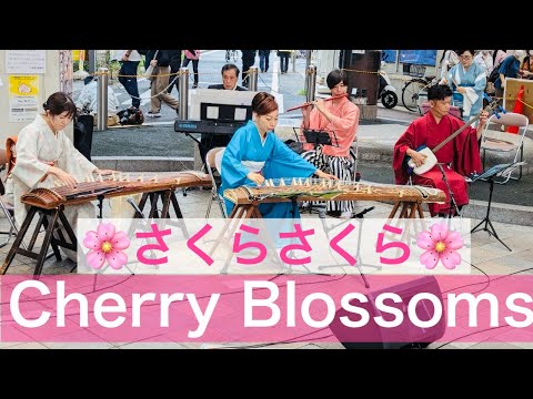 和鼓の灯り「SAKURA」 日本の文様＜桜華＞（本体セット）｜株式会社さくらほりきり