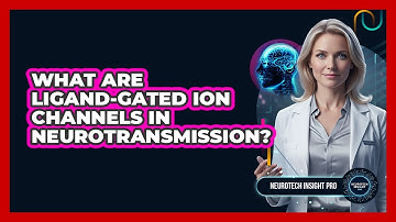 What Are Ligand-gated Ion Channels In Neurotransmission? - Neurotech Insight Pro