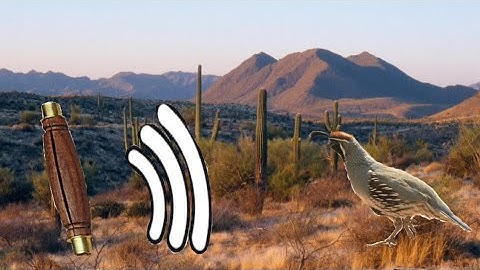 How to make a super easy quail call