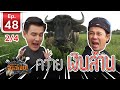 ควายไทยเงินล้าน - เพื่อนรักสัตว์เอ้ย EP 48 (2/4)