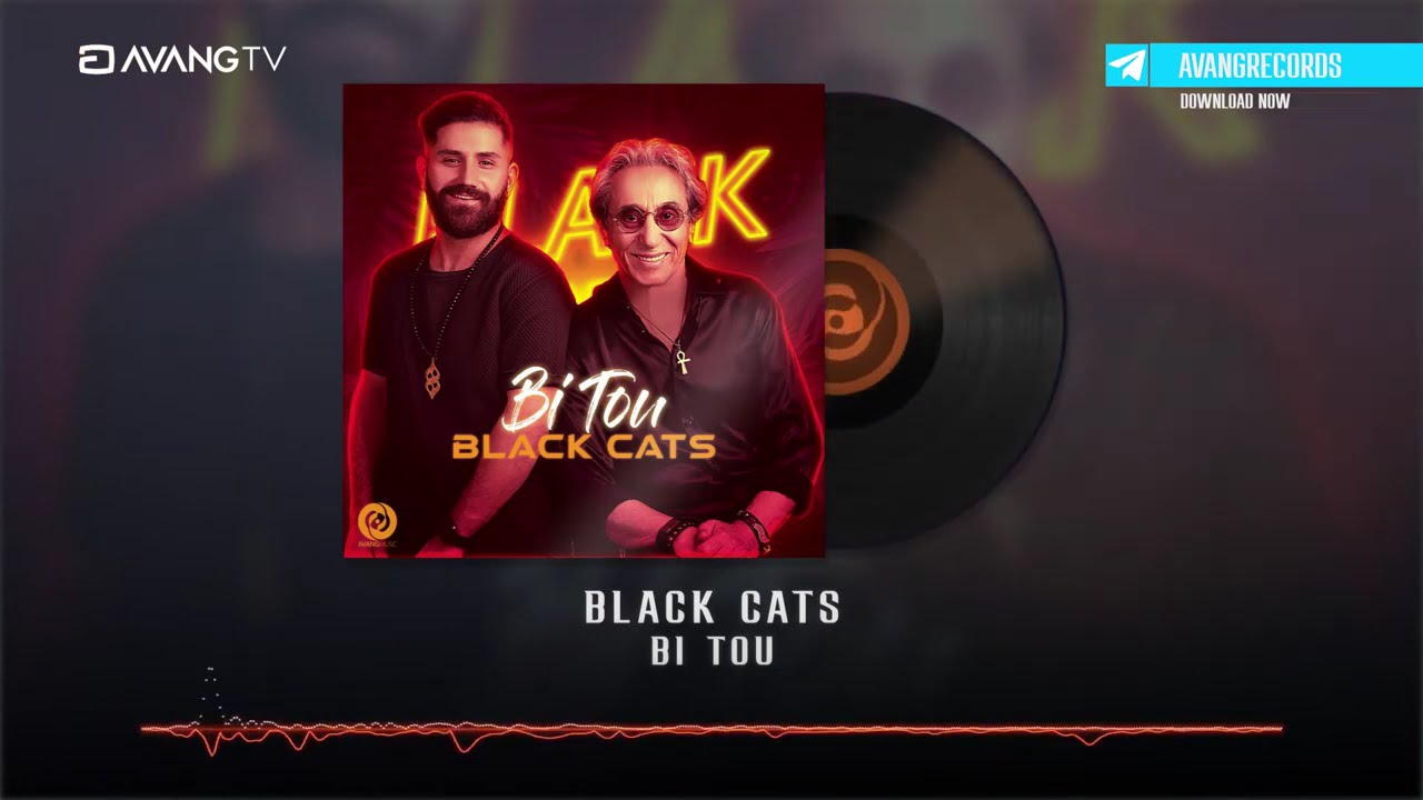 Black Cats - Bi Tou OFFICIAL TRACK | بلک کتس - بی تو