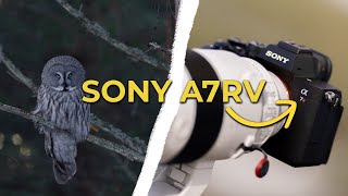 Sony A7RV | The Perfect WILDLIFE Camera?