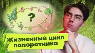 Все о жизненном цикле папоротника для ОГЭ | Биология 2023 Умскул