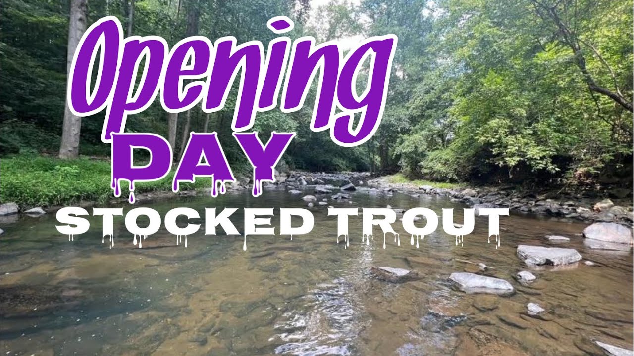 Opening Day Trout Fishing (Golden Trout)