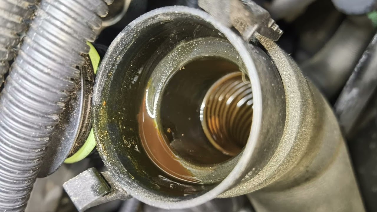 BMW 520i N20 Oil and Coolant Leak Checks YouTube