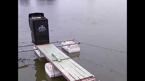 Aquarium automatic pond fish shrimp feeder